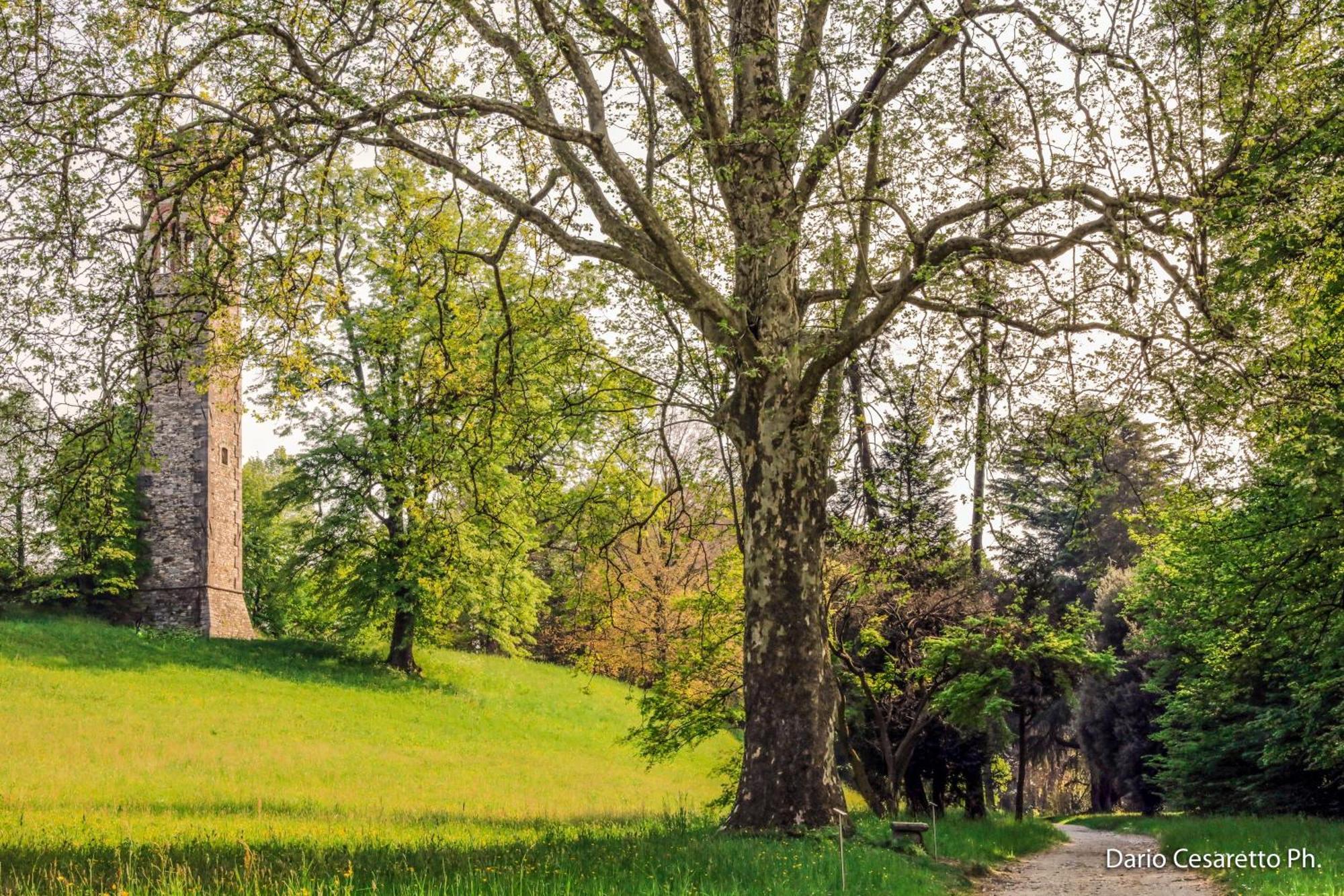 Villa Cagnola Schianno ภายนอก รูปภาพ
